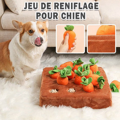 tapis-de-fouille-chien-dogdigging-reniflage
