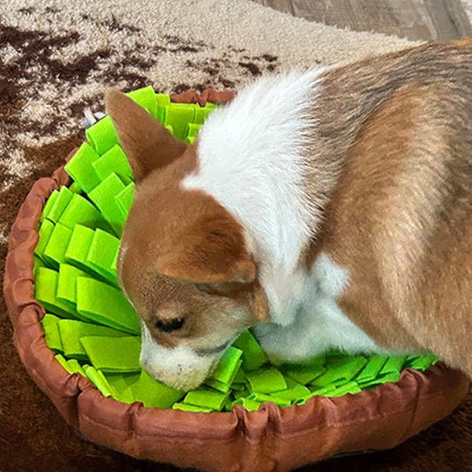 tapis-de-fouille-chien-dogmat-debout-vert-chien