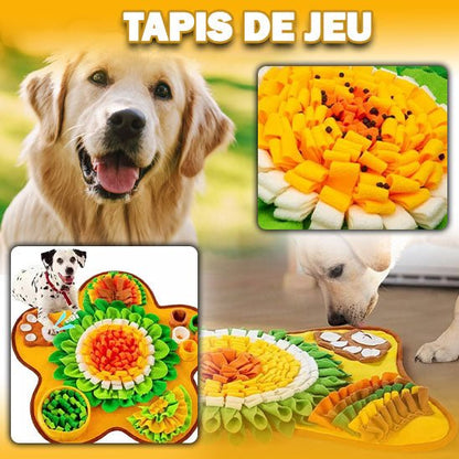 tapis-de-fouille-dogsearch-regarde-deux