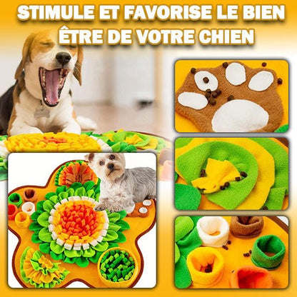 tapis-de-fouille-dogsearch-regarde-quatre