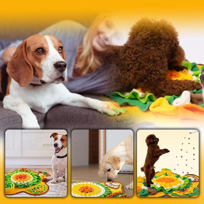 tapis-de-fouille-dogsearch-regarde-trois