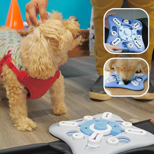 tapis-de-fouille-matsearch-chien-brun