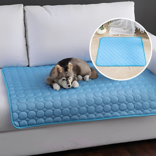 Tapis pour Chien Extra - Extra Dog™ - Chien trop content