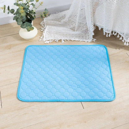 tapis-pour-chien-extra-plancher-bleu