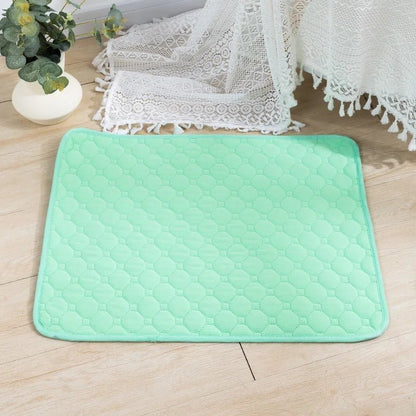 tapis-pour-chien-extra-plancher-vert