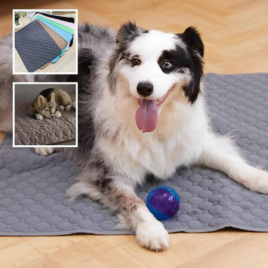 tapis-pour-chien-mat-chien-bal