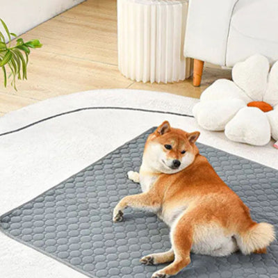 Tapis pour chien matdog gris, brun chien