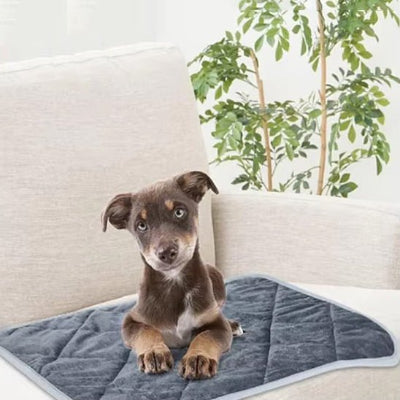 Tapis pour chien rafraîchissant dogcarpet chien brun pâle