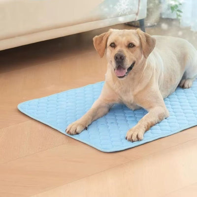 Tapis pour chien rafraîchissant dogmat tapis coucher bleu chien