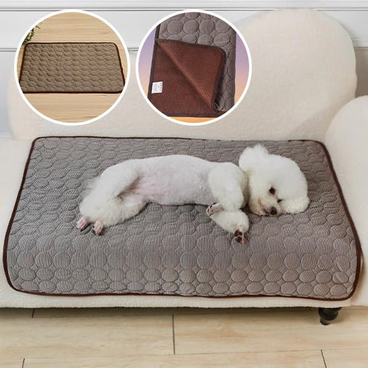 tapis-xxl-pour-chien-brun