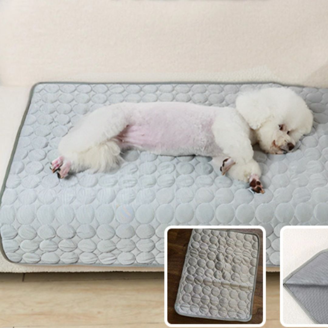 tapis-xxl-pour-chien-dogcarpet-tapis-bleu-chien