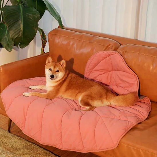 tapis-xxl-pour-chien-dogextra-chien-blanc-brun-rose