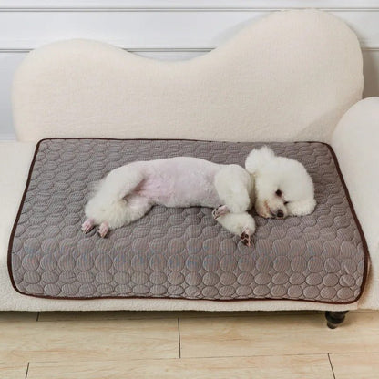 tapis-xxl-pour-chien-tapis-brun
