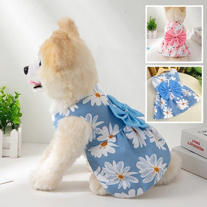 vetement-pour-chien-dogthes-chien-bleu