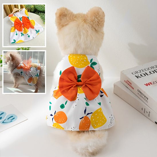 vetement-pour-chien-dogthes-chien-orange