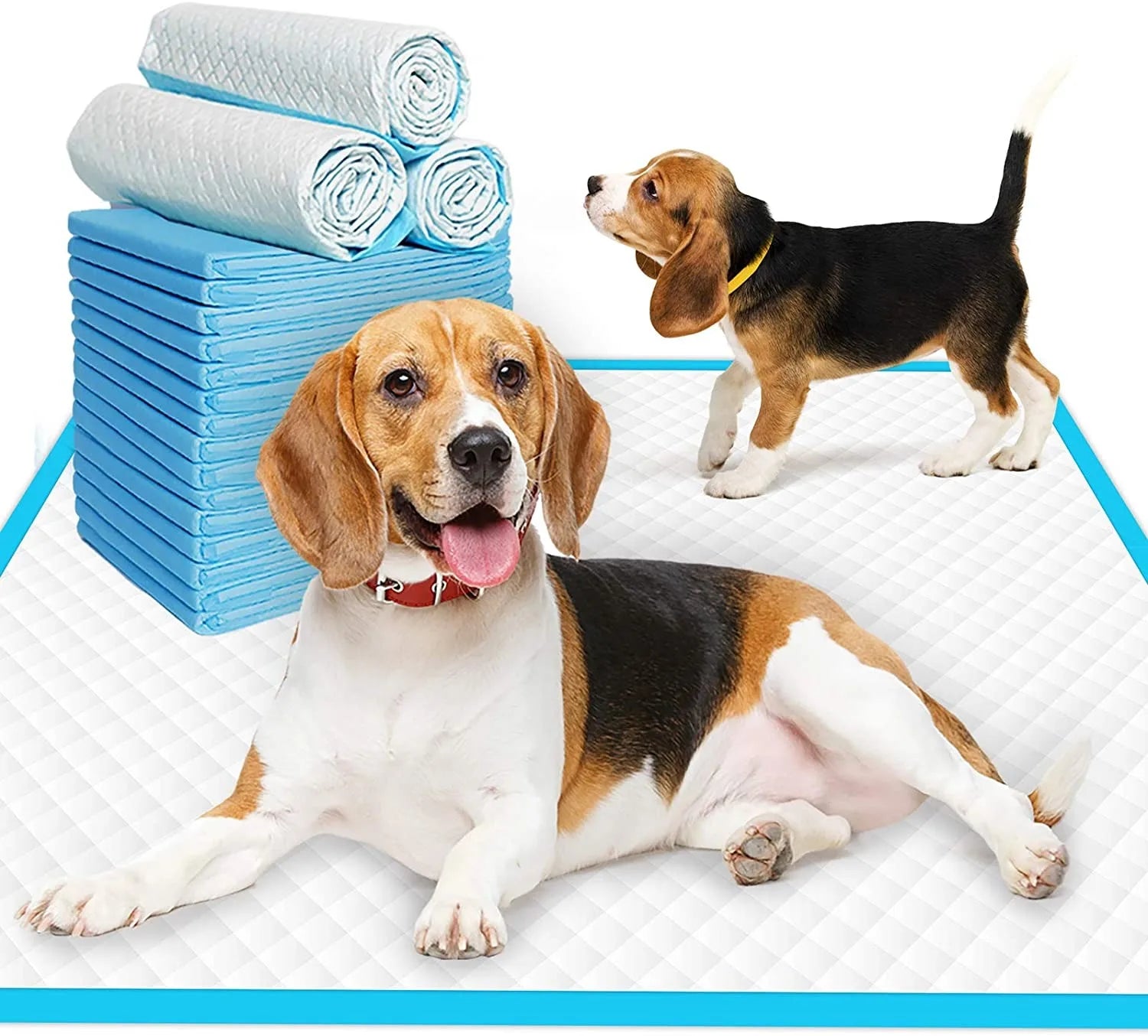 couche-absorbante-absorlayer-deux-chiens