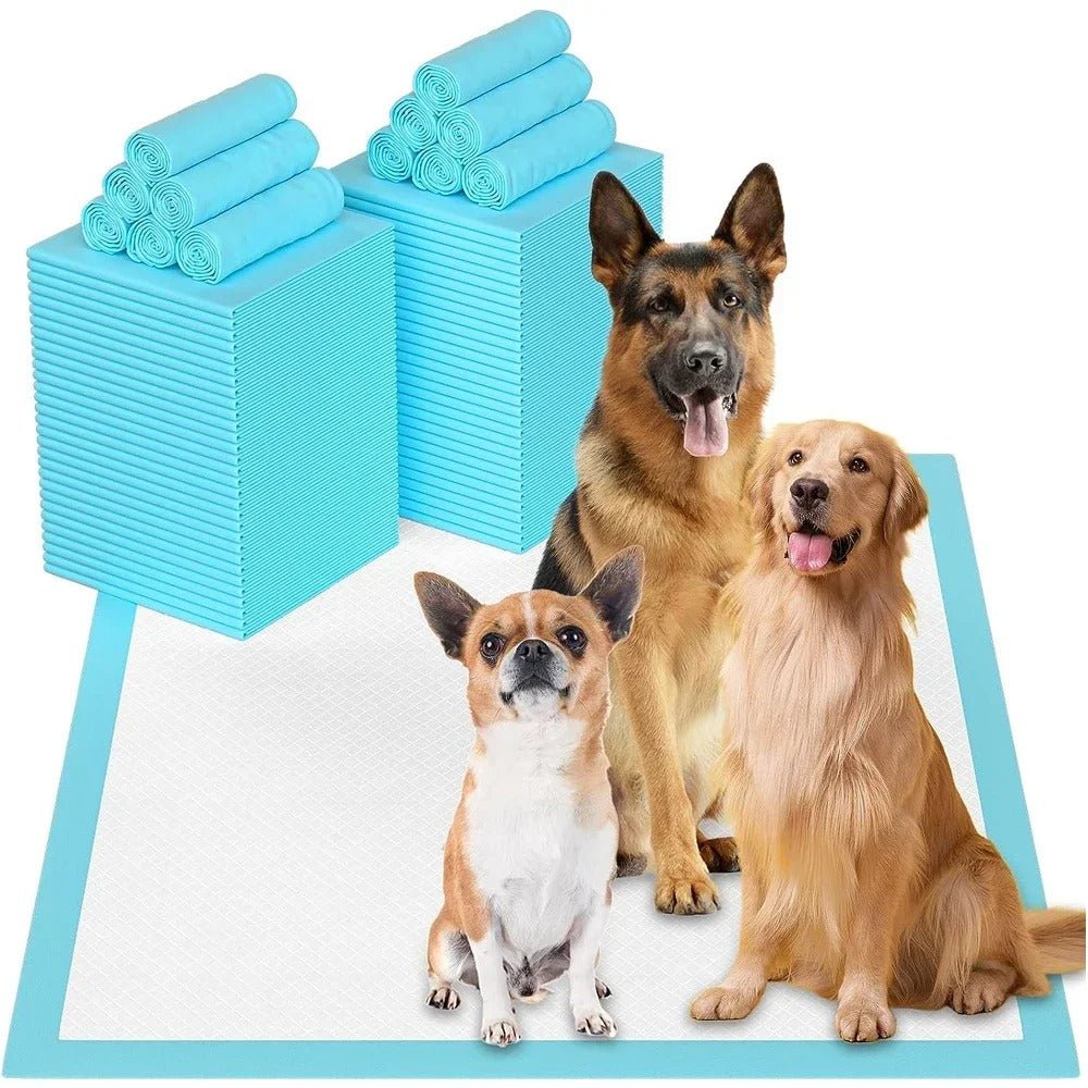 couche-absorbante-absorlayer-trois-chiens