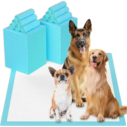 couche-absorbante-absorlayer-trois-chiens
