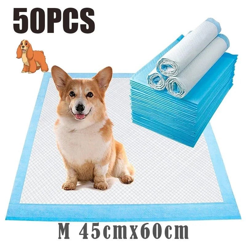 couche-absorbante-absorlayer-un-chien