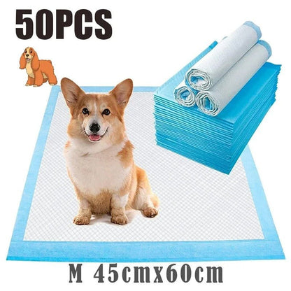 couche-absorbante-absorlayer-un-chien