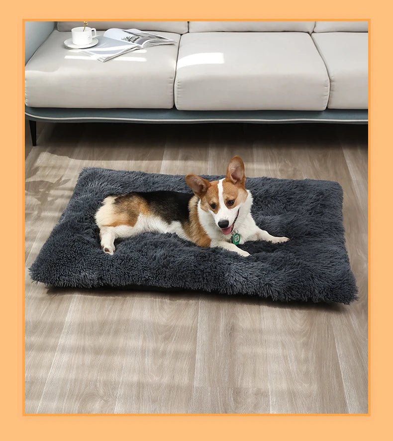 Dogbed™ - Lit pour chien moelleux - Chien trop content