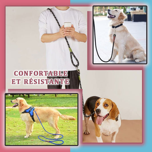 DogLea™ - Laisse pour chien - Chien trop content