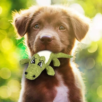 peluche-pour-chien-allipelu-joue-avec-peluches-vert