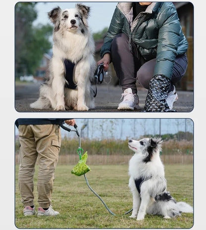 sac-a-crottes-chien-poopbag-chien-regarde